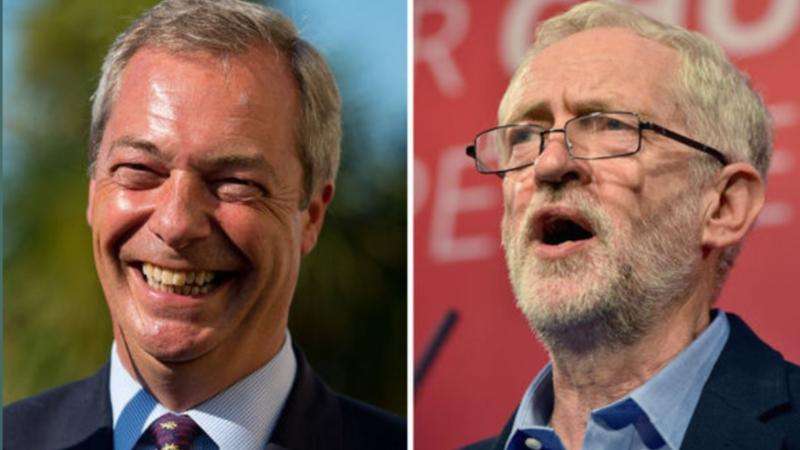 The-Council-of-Mosques