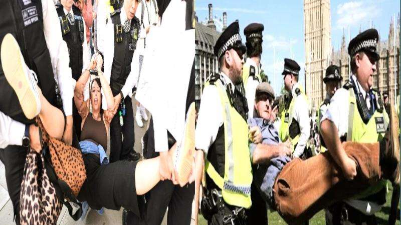 The-Council-of-Mosques