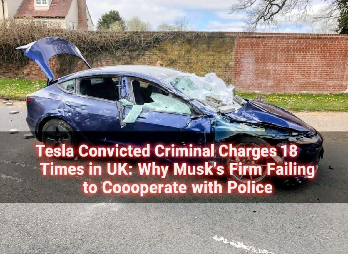 The-Council-of-Mosques