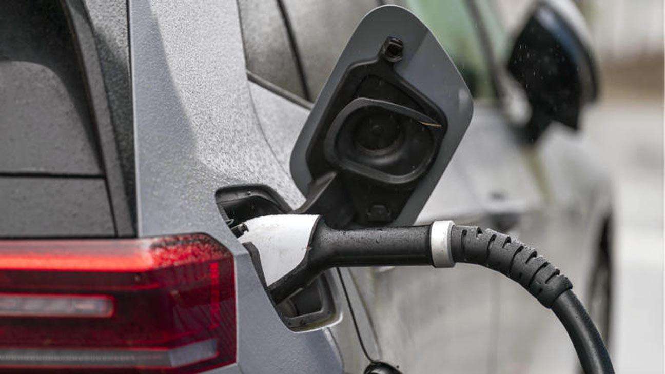 The-Council-of-Mosques