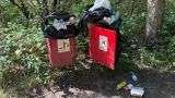 London Council Faces Backlash Over Removal of 700 Dog-Waste Bins
