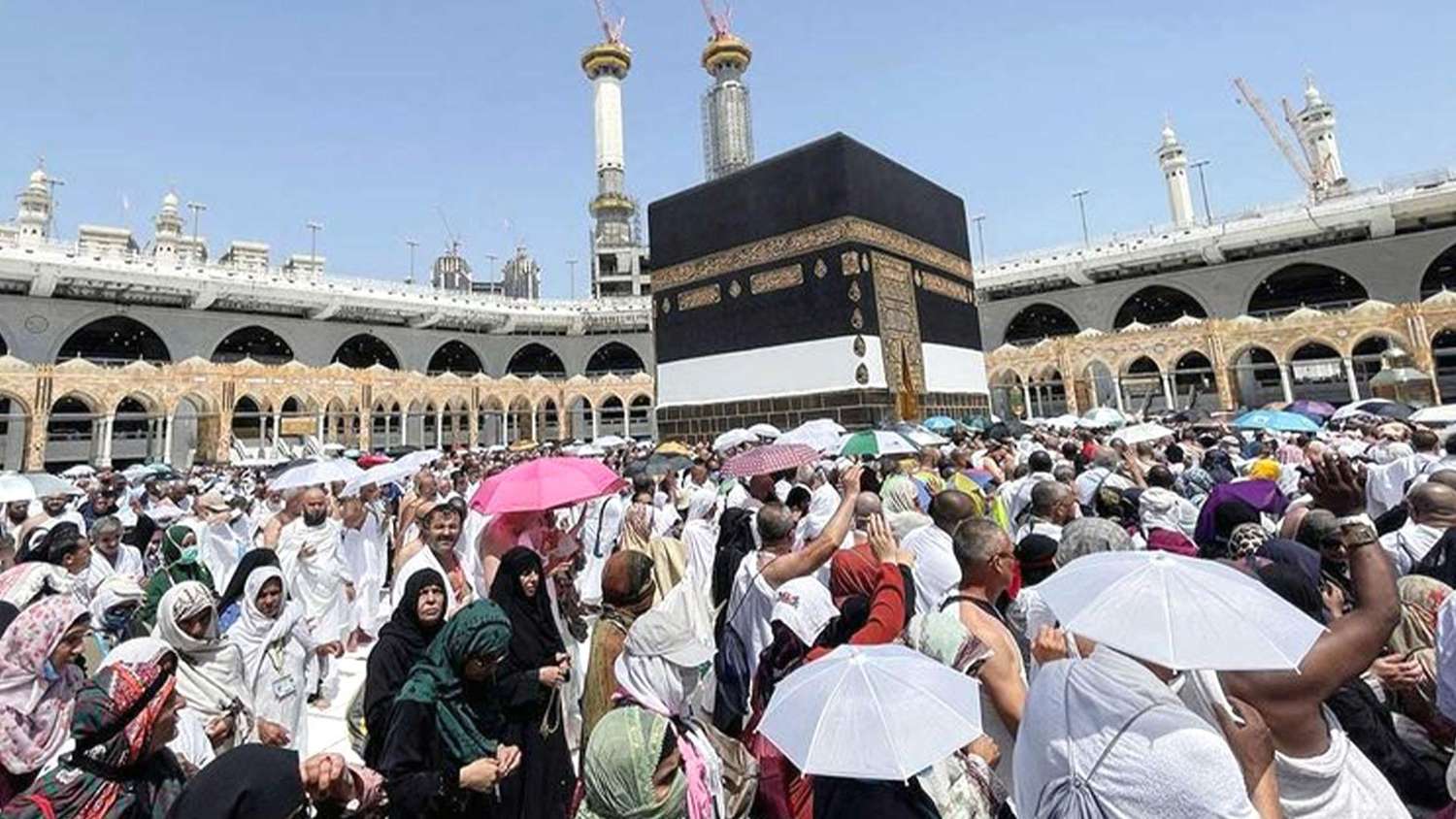 The-Council-of-Mosques