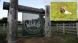 Yorkshire Wildlife Park Remains Closed After Fatal Tige
